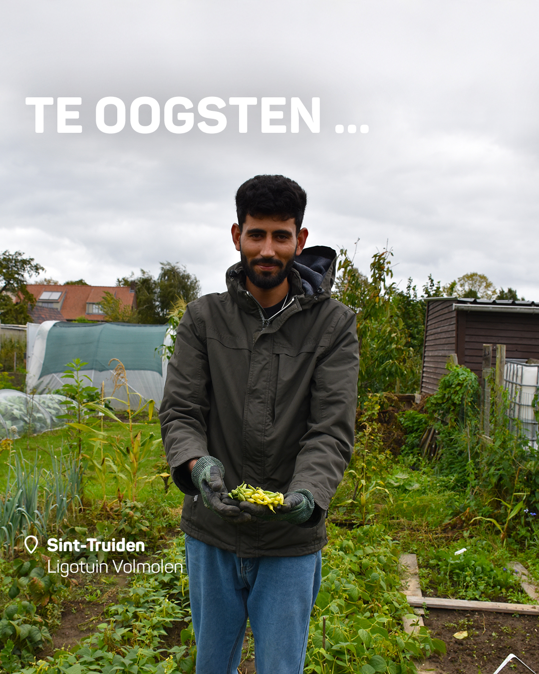 Samentuin Sint-Truiden