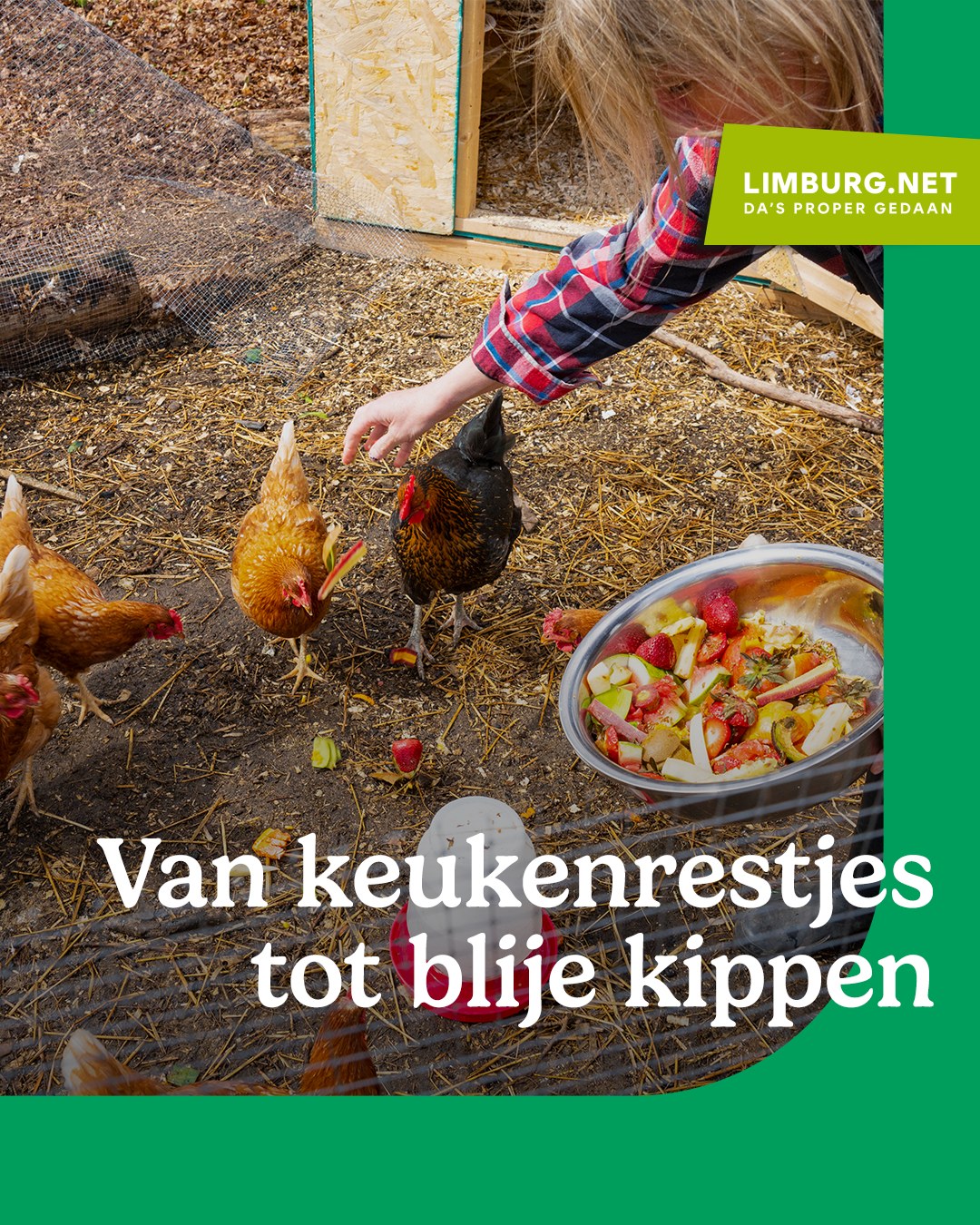 Workshop kippen