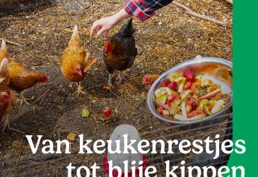 workshop kippen