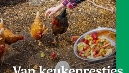 workshop kippen